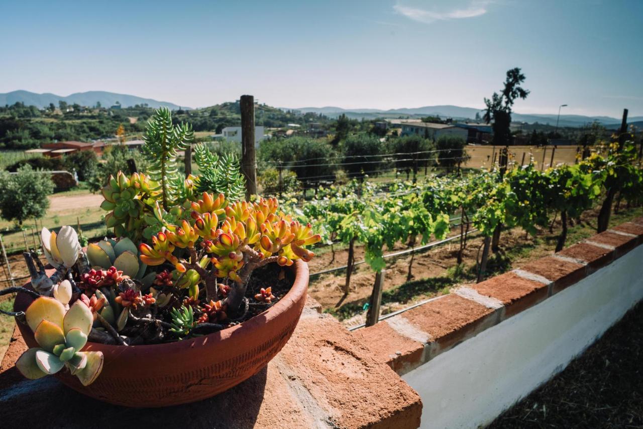 Quinta Sofia Valle De Guadalupe (Adults Only) Buitenkant foto