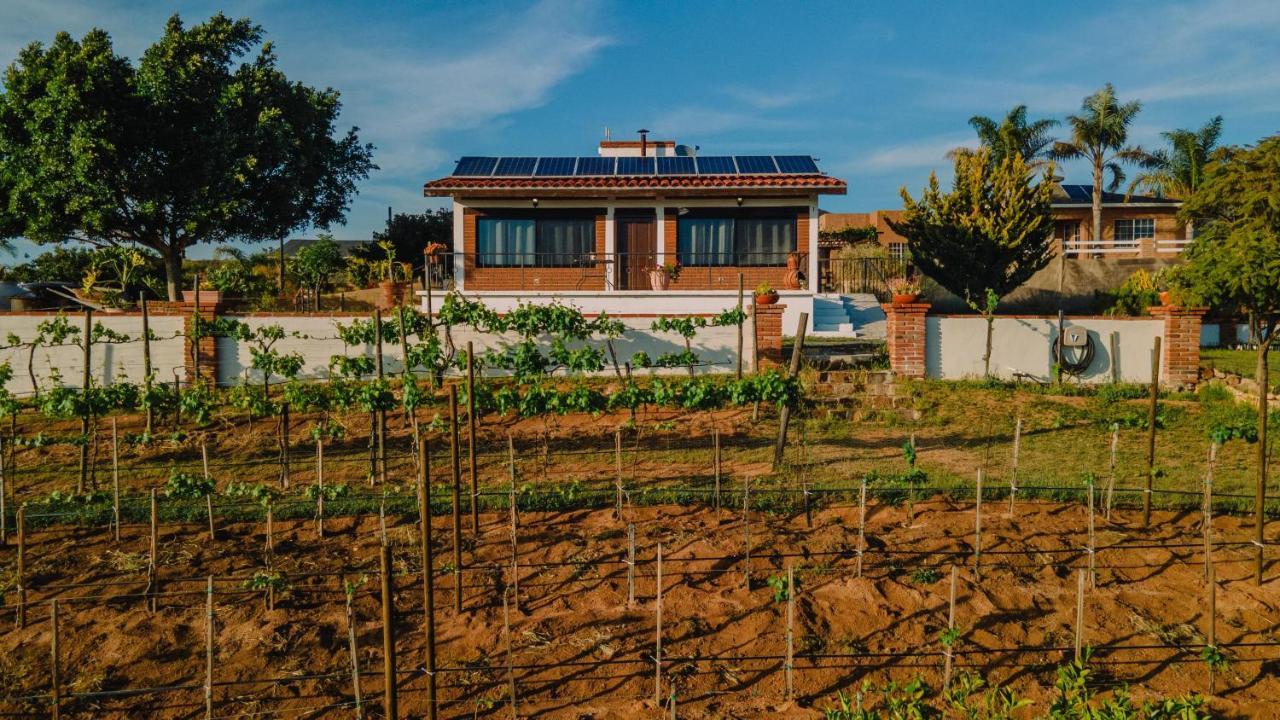 Quinta Sofia Valle De Guadalupe (Adults Only) Buitenkant foto