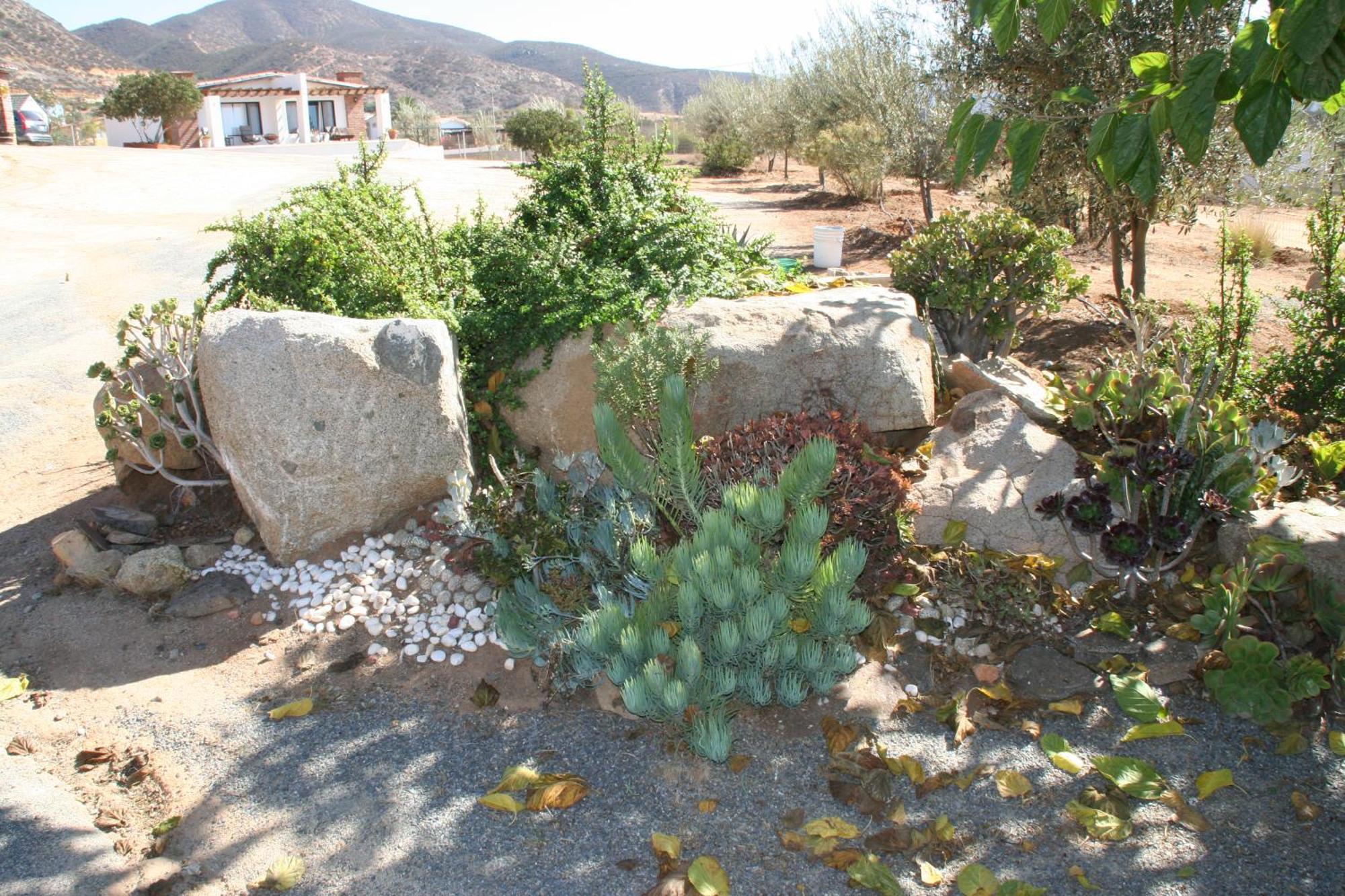 Quinta Sofia Valle De Guadalupe (Adults Only) Buitenkant foto