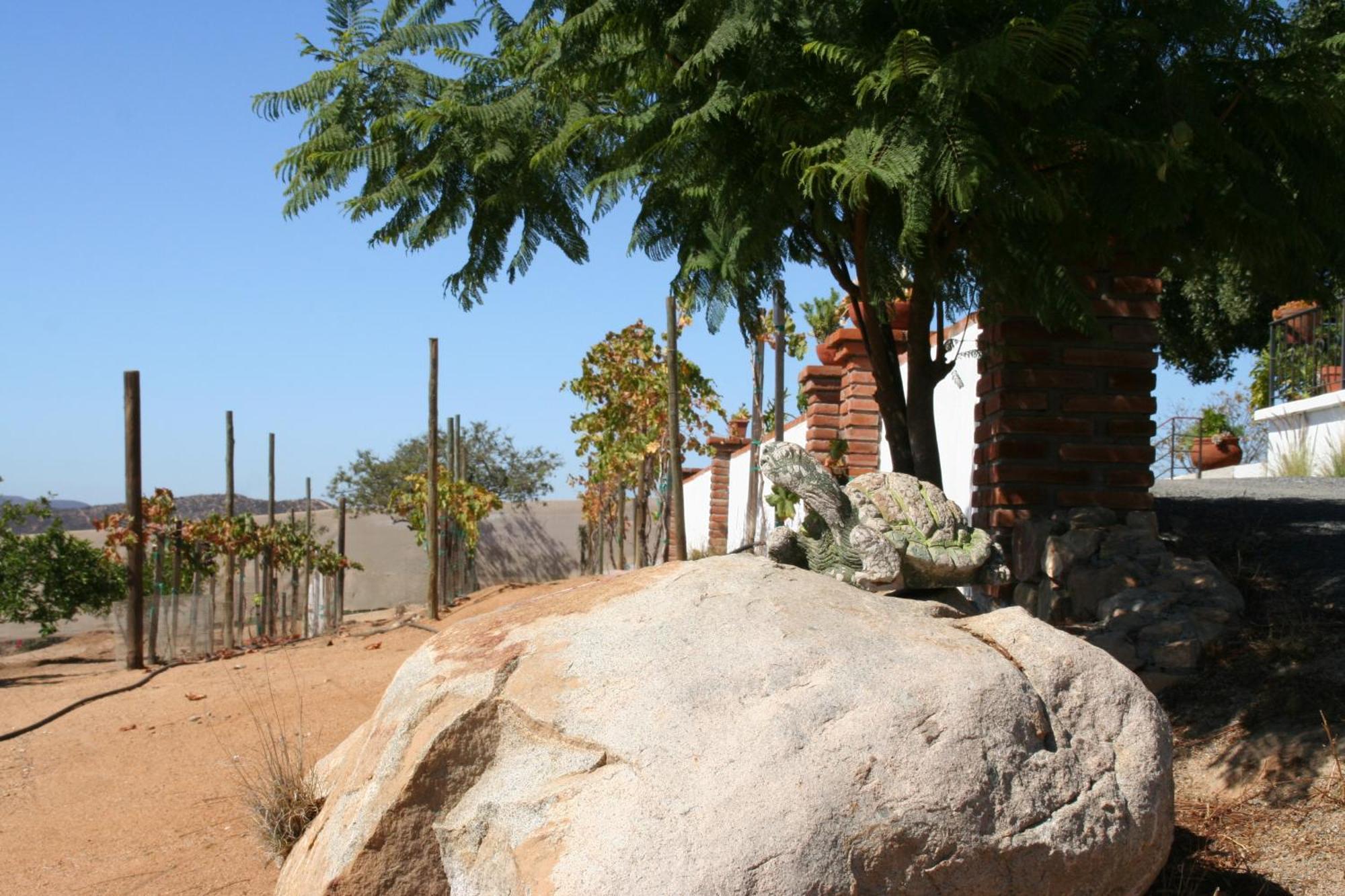 Quinta Sofia Valle De Guadalupe (Adults Only) Buitenkant foto