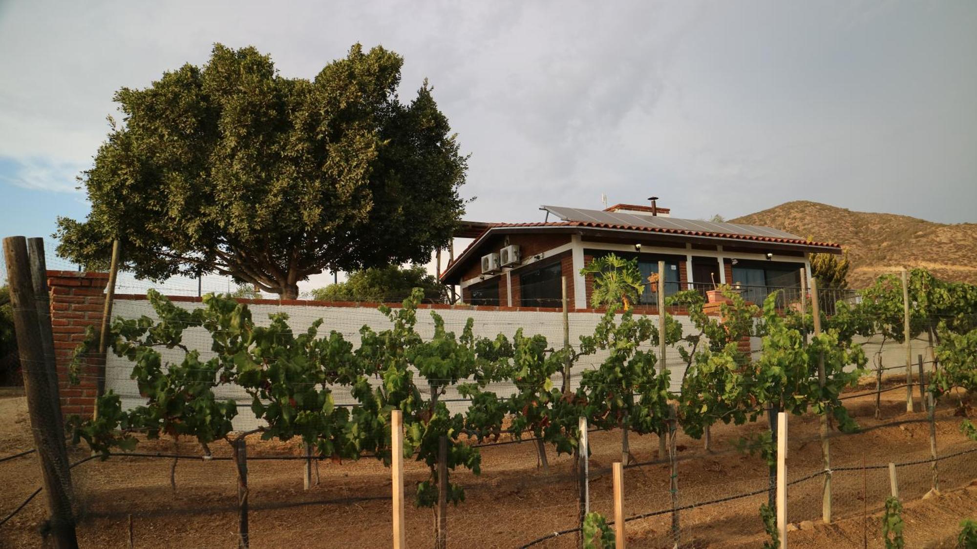 Quinta Sofia Valle De Guadalupe (Adults Only) Buitenkant foto