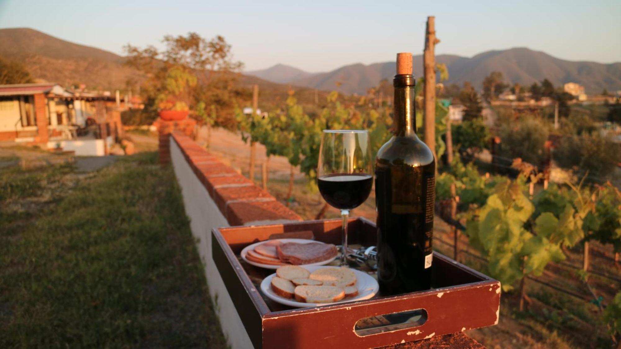 Quinta Sofia Valle De Guadalupe (Adults Only) Buitenkant foto